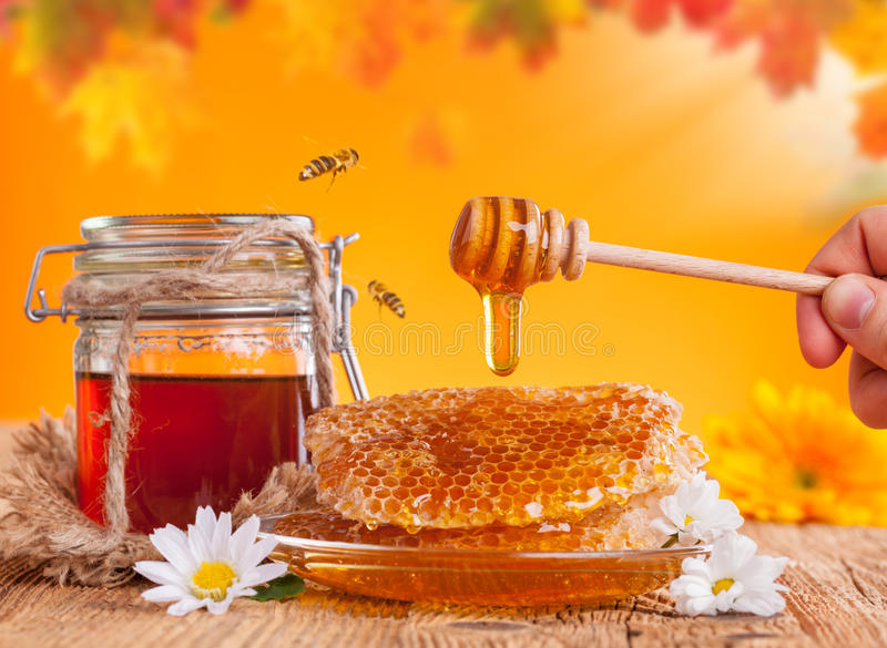 HONEY IS A BEST GIFT OF NATURE